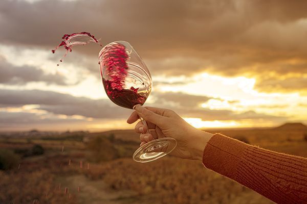 Experiencia enoturismo, copa vino Rioja